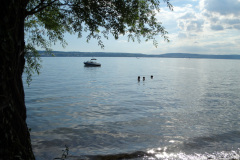 DSC00736