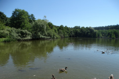 DSC00784